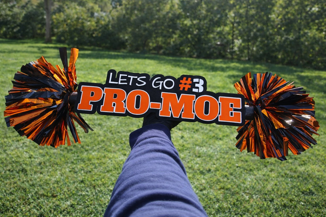 Person holding a cheerleading pom-pom sign with 'Let's Go Pro-Moe' text on grass.