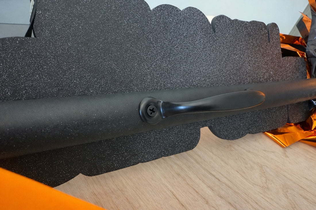 Person holding a cheerleading pom-pom sign with 'Let's Go Pro-Moe' text on grass.